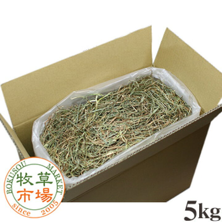 超人気の 牧草市場 北海道産チモシー2番刈り牧草5kg うさぎ モルモットなどの牧草 www.tsujide.co.jp 超人気の 牧草市場 北海道産チモシー2番刈り牧草5kg うさぎ モルモットなどの牧草 www.tsujide.co.jp