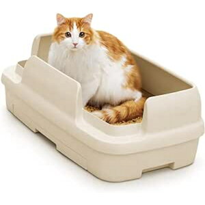 jƂgC ̂т̂ bNX Cgx[W