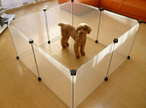 yz[U[ ybgtFX S-8i50×50cmj 8g