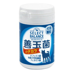 ZNgoX Pʋۂ̃`J pij45g