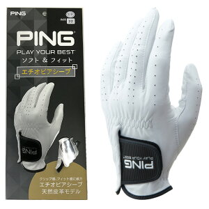 PING s rvO[u p Ep GL-P2301 Stpi StO[u 