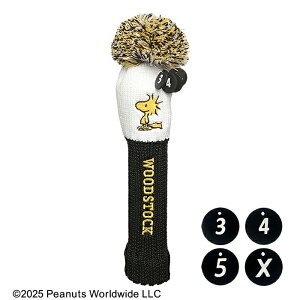 EbhXgbN jbg wbhJo[ [eBeBp H-516 Stpi Xk[s[ LN^[