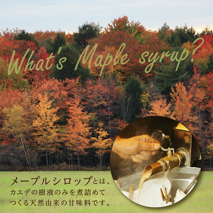 楽天市場 ディズニープリンセスナチュラルスイートセレクションａ ラプンツェル 白雪姫 ディズニープリンセス ギフトbox メープル めーぷる メープルシロップ おしゃれ 可愛い ディズニー ギフト 食品 ギフト クインビーガーデン 楽天市場店