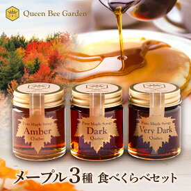 【メープルシロップ 3種食べ比べセット】アンバー ダーク ベリーダークカナダ ケベック州 プロ御用達 ピュア 国内充填 安心 安全 QBG クインビーガーデン 公式 食べくらべ お試し 試食 50g 少量 高評価 パンケーキ 朝食 パン ヨーグルト 送料無料