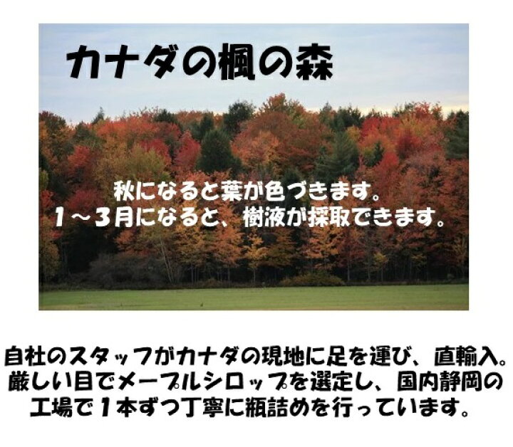 楽天市場 スヌーピー パンケーキシロップ 100 ピュアメープル Snoopy キャラクター おしゃれ 可愛い Peanuts 人気 スヌーピー フード 食品 プレゼント お土産 お祝い メープル めーぷる メープルシロップ カナダ ケベック クインビーガーデン 楽天市場店 楽天市場 スヌーピー パンケーキシロップ 100 ピュアメープル Snoopy キャラクター おしゃれ 可愛い Peanuts 人気 スヌーピー フード 食品 プレゼント お土産 お祝い メープル めーぷる メープルシロップ カナダ ケベック クインビーガーデン 楽天市場店