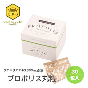 yv|Xۗz v|X Rۗ ۗ  ݂₷  v|X uWY v|X NHi O[v|X Ɗ AN ݂͂V