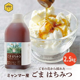 スーパーSALE クーポン発行中【ミャンマー産 ごま はちみつ 2.5kg】大容量 プロ御用達 業務用 純粋 ピュア 国内充填 安心 安全 クインビーガーデン 公式 お菓子作り 高評価 製菓 製パン お料理 製菓原料 ヨーグルト 和食 ごまの花 ヘルシー