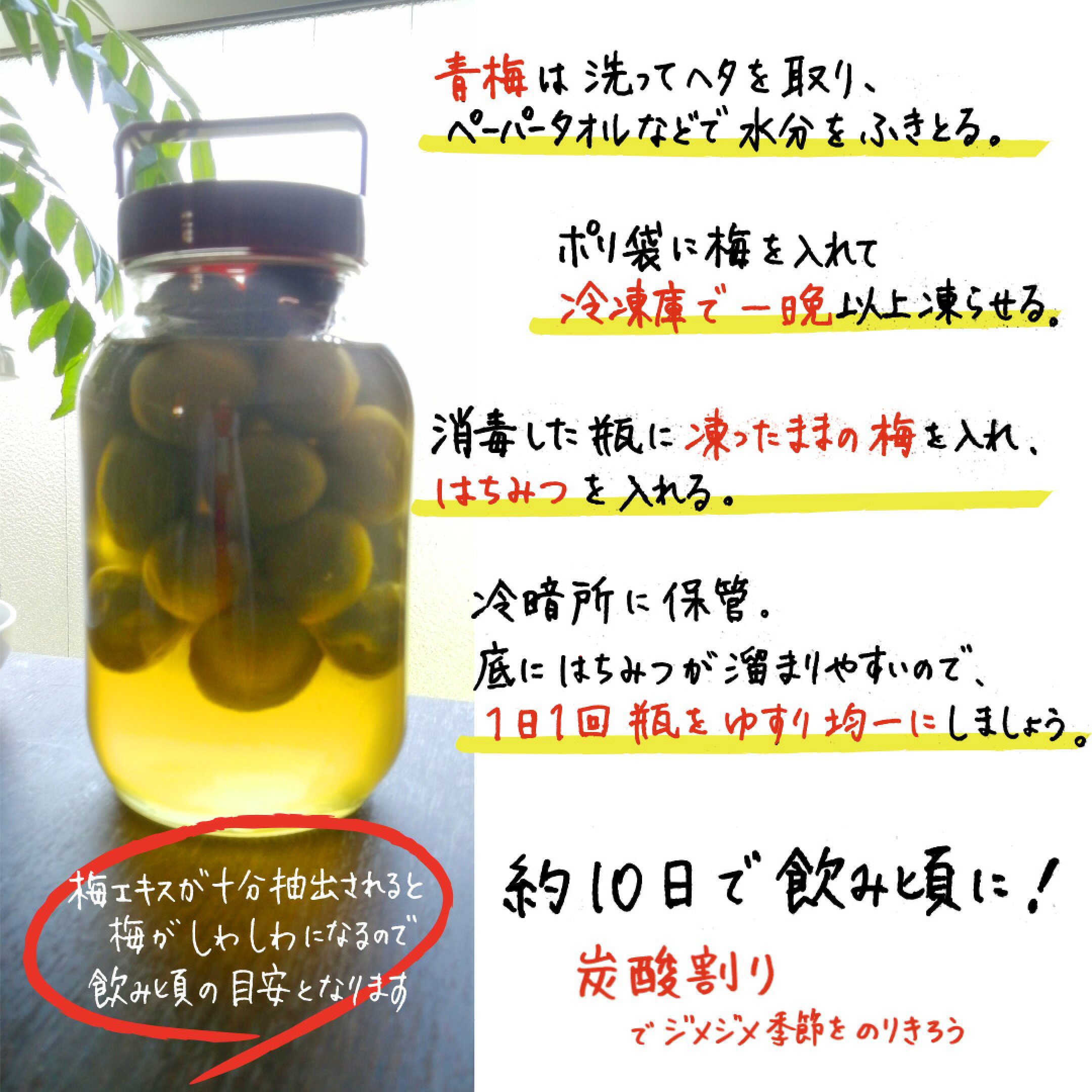 梅シロップレシピ
