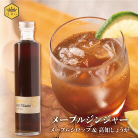 マラソン最大500円クーポン【メープル ジンジャー シロップ（5倍希釈タイプ）】純粋 メープルシロップ カナダ ケベック州 生姜 高知 ドリンク シロップ チャイ ミルクティー 白砂糖不使用 保存料不使用 着色料不使用 クインビーガーデン 公式