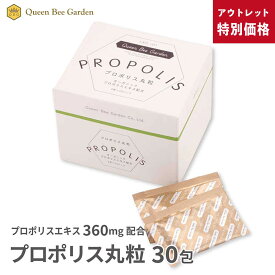 【プロポリス丸粒】アウトレット特別価格！賞味期限2026年6月末 送料無料 プロポリス 抗菌力 丸粒 錠剤 飲みやすい 送料無料 プロポリス ブラジル産 プロポリス 健康食品 グリーンプロポリス 免活 アレクリン はちみつ老舗