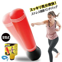 楽天市場】ストレス解消グッズ サンドバッグの通販