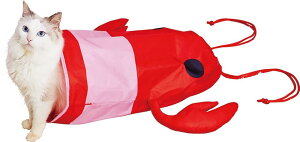 �y�e�B�I (Petio) �L�p�������� �G�r�̂Ȃ肫��V���J�V���J�ʂ�ʂ���