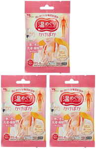  bN ߂ ۂ ɂ ĝăJC (3) { |Cg