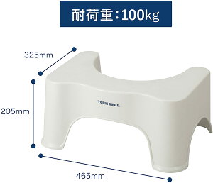 V[r[Wp ݑ x[W ω׏d100kg gCpT|[g [Nf |Cg 