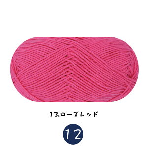 C 39F 97m 5{Q 60% AN40% ҂ݖю DIY҂݂ XJ[tp Rbgaю 50g