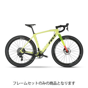 FELT(tFgj2024 BREED Advanced CCg 47 t[Zbg
