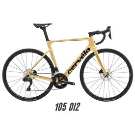 Cervelo (サーベロ) 2024 SOLOIST Gold Dust 105 R7170 Di2 サイズ54 ロードバイク【店頭受け取り限定】