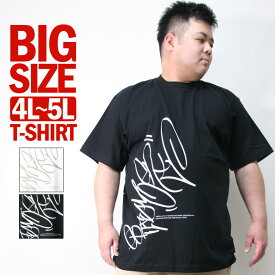 Tシャツ メンズ 大きいサイズ 4L 5L XXXL XXXXL 半袖 TEE ビッグサイズ ブランド ASNADISPEC アスナディスペック バックプリント ロゴ ティーシャツ 黒 白 アメカジ ストリート B系 ダンス おしゃれ かっこいい BIGサイズ オーバーサイズ 人気 夏 20代 30代 40代