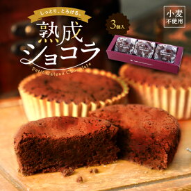 チョコレート お中元 お歳暮 神戸熟成ショコラ3個入 スイーツ ギフト おしゃれ チョコ 挨拶 お返し ブランド 日本 おいしい 高級チョコ プレゼント 極みチョコ 洋菓子 ガトーショコラ 小麦不使用 チョコレート 個包装