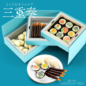 v[g ƂĂVROdt `R[g lߍ킹 XC[c Mtg `R uh { CX^f   `R[gَq