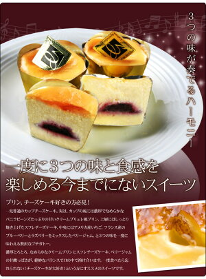 【たぶん、おいしいと思う】チーズケーキプリン!【ギフト】