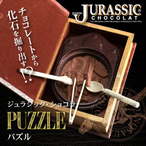 【ネット限定先行販売】最高級チョコレートを使った、割って!掘って!楽しむチョコレート★ジュラシックショコラ【パズル】(チョコレート)