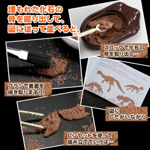 【ネット限定先行販売】最高級チョコレートを使った、割って!掘って!楽しむチョコレート★ジュラシックショコラ【パズル】(チョコレート)