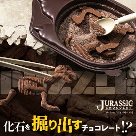 ホワイトデー チョコレート 恐竜 ジュラシックショコラ パズル チョコレート 発掘 化石 ユニーク チョコ インスタ映え チョコレート菓子 ギフト お取り寄せスイーツ オリジナル　ネット限定　ユニーク