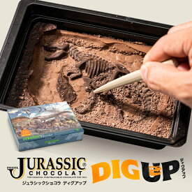 ホワイトデー チョコ チョコレート 恐竜チョコ ジュラシックショコラ【ディグアップ】 お菓子 チョコレート 子供 お取り寄せスイーツ チョコ ユニーク インスタ映え 面白チョコ おもしろ オリジナル　ユニーク