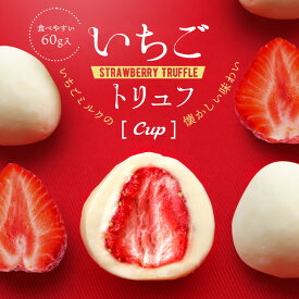 おしゃれ いちごトリュフ Cup 60g お菓子 チョコレート インスタ映え チョコ チョコレート菓子 ギフト スイーツ おしゃれ いちごチョコ 苺チョコ 苺チョコレート イチゴ トリュフチョコ フリーズドライ 神戸 お取り寄せスイーツ