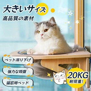Lp nbN L ybgp FD^ Lxbh xbh ͋z  NA{E  t^Cv zՃnbN ω׏d 20kg   lC 킢    ؐ Q v[