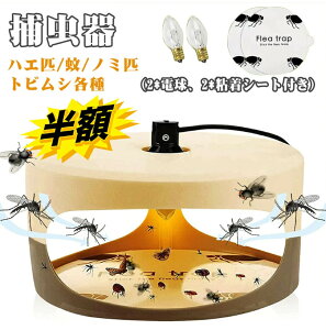 m~ގ  m~C nGC grVe nG m~_jގ RoG ΍ Q쏜  L  m~쏜