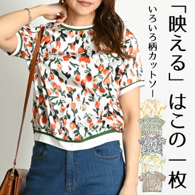 【GW限定20％OFF】Tシャツ カットソー レディース 半袖 柄 花柄 総柄 シャツ ブラウス トップス プルオーバー 半袖カットソー 柄カットソー 半袖Tシャツ 半袖ブラウス 柄シャツ 柄ブラウス 大きいサイズ クルーネック 丸首 シャツブラウス 幾何学柄 個性的 レトロ 春夏