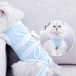 [֑ ybgpp㕞 GUxXJ[ L EFA GUxX̑ ybgp㕞 Rbg sDp  rߖh~ yVCOʔ