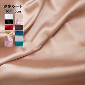  wiV[g Bepwiz Te TCY100*140cm X^WIwiXN[V[g ʐ^ yVCOʔ