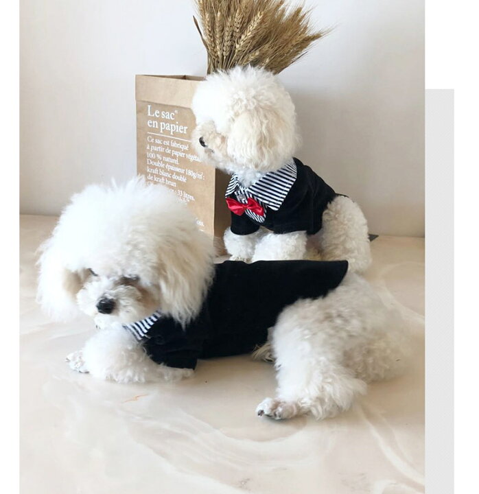 市場 メール便送料無料 ペット服 犬 タキシード 犬服 犬の服 ペット用品 ストライプ ドッグウェア 上着 ペットウエア