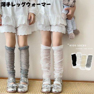  2Zbg qEH[}[ bOEH[}[  A[EH[}[ ̎q LbY Vv ĕ hn [^ K[[ l JWA t@bV ʉ ʊw C