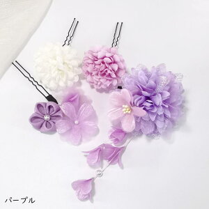   l  4_Zbg U a  wAANZT[   a   ؂₩ Zbg o _A Ǝ   w l  p[eB[ t