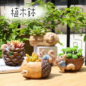 送料無料 植木鉢 プランター カクタス ミニ 多肉 ガーデンポット 軽い コケリウム 苔リウム 箱庭 鉢 可愛い サボテン スカイガーデン 多肉植物 寄せ植え 置物 インテリア かわいい 樹脂 テラリウム 容器 卓上 ガーデニング グッズ 雑貨 楽天海外通販