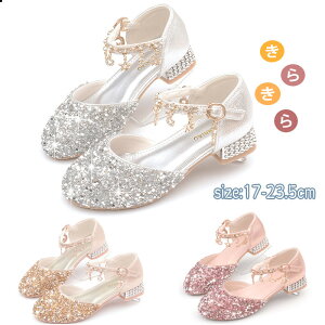 q C tH[}V[Y ̎q K[ LL C hX LbYV[Y Zj[V[Y T_ WjA qǂ o \ IV ʉ ʊw sAm  