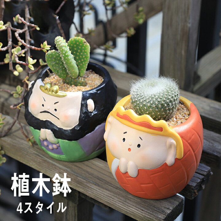 楽天市場】送料無料 植木鉢 プランター カクタス ミニ 多肉 ガーデン 