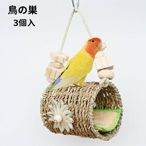  3 Xg[̑ nbN g nEX _ ybg nEX ng Vn ngp ybgV ybgpi lGKp  CR  P[W  ݂艺 