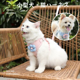 送料無料 猫用ハーネス 犬用 抜けない 胴輪 リード ダブルロック 猫ハーネス 猫用 ネコ キャット ねこ 小型犬 かわいい お出かけ おしゃれ 散歩 外出 通院 災害 避難 蒸れない ペット 服 簡単脱着 散歩お出かけ 楽天海外通販