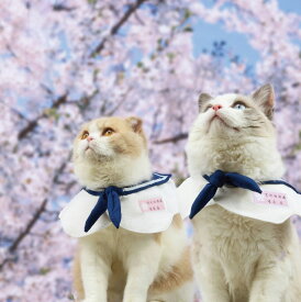 楽天市場 服 名前 キャットウェア 猫用品 ペット ペットグッズの通販