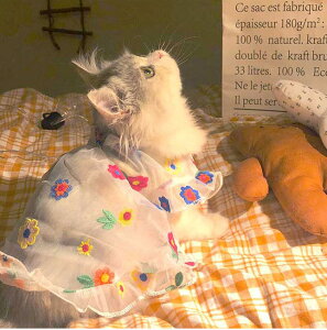  ybg̕ [X s[X L lR  RX`[ L  ʋC _炩 RXvߑ ʔ ʐ^ Be  ȒP ւ ϐgObY ybgpi yV