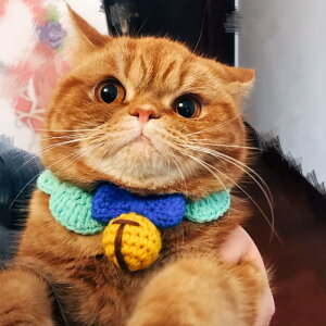 白 猫 リボンの人気商品 通販 価格比較 価格 Com