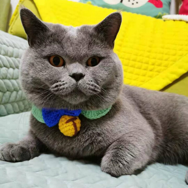楽天市場 送料無料 ペットの服 首輪 手作り リボン ベル マフラー 猫 ネコ 犬 コスチューム 猫服 可愛い 通気性 柔らかい コスプレ衣装 面白い 写真 撮影道具 おしゃれ 簡単装着 着せ替え 変身グッズ ペット用品 楽天海外通販 Marbeine 楽天市場 送料無料 ペットの服 首輪 手作り リボン ベル マフラー 猫 ネコ 犬 コスチューム 猫服 可愛い 通気性 柔らかい コスプレ衣装 面白い 写真 撮影道具 おしゃれ 簡単装着 着せ替え 変身グッズ ペット用品 楽天海外通販 Marbeine