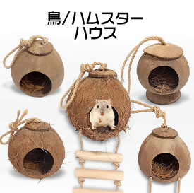 送料無料 ハムスター ハンモック ウスココナッツシェル 鳥ハンモック ハウス 鸚鵡 階段付き ペットおもちゃ ハウス 遊園地 モルモット ペット遊宅 純天然 ハムスター用 モルモット用 ペット用品 四季適用 可愛い 楽天海外通販