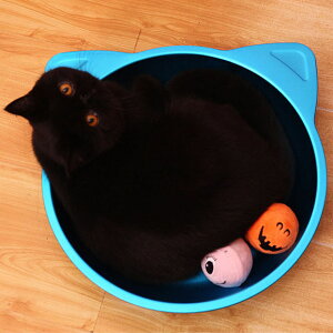 送料無料 ペットベッド ネコはち 夏 冷却マット イヌ ネコ 涼しい 犬猫兼用 夏のリゾート 犬ベッド 猫暑さ対策 ペットベッド 猫 夏用 ペット用 ペット用品 クールマット 楽天海外通販 サマ