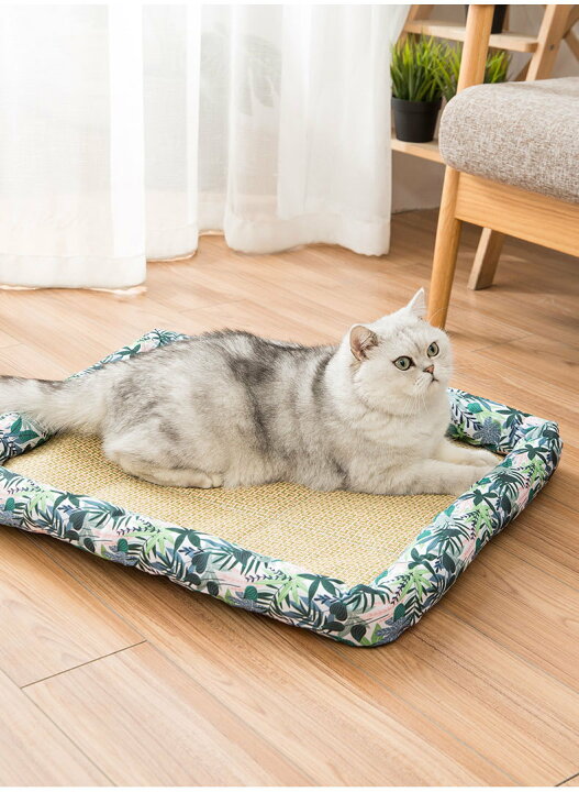 送料無料 ペットクールベッド ござ 夏ござ ペット ござベッド ひんやり 犬 猫 冷却ベッド 夏ペット用品 涼感 冷感ベッド 動物クールベッド 冷えベッド 柔らかい 噛む予防 水洗い可 熱中症暑さ対策 60 41cm 海外通販 最安価格